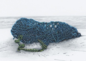Blue Net