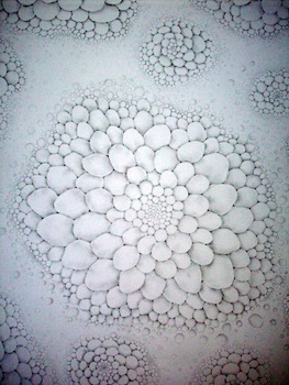 9. Hankin_350_Rest (detail)