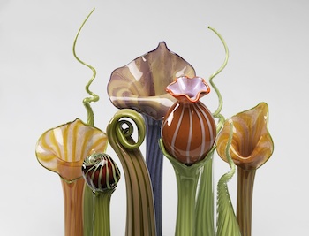 Glass Garden