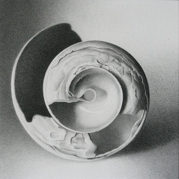 Moon Shell #5