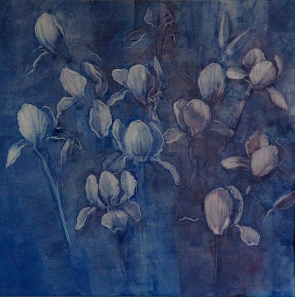 Irises