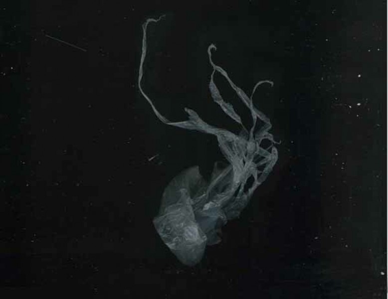 Men of War (Jellies17)