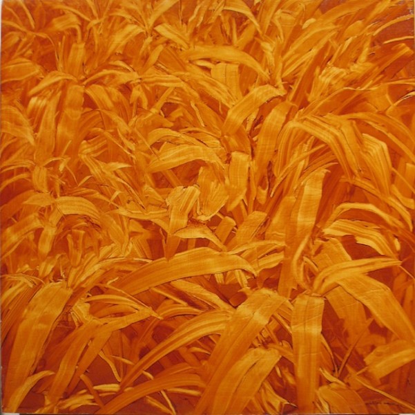 August Grass