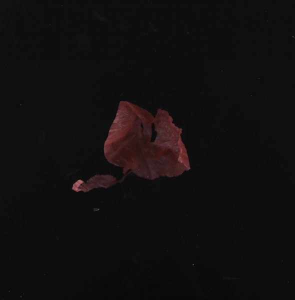 Men of War (Jelly Red)