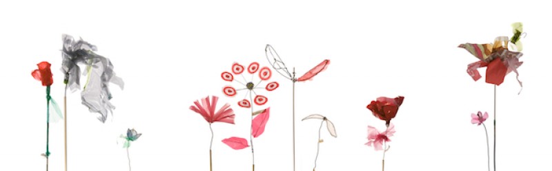 Consumer Garden