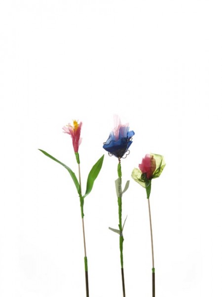 Consumer Garden 2.16.58