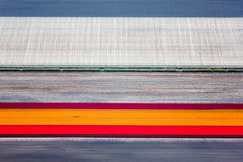Alex Maclean, 'Orange Tulip Strip', Rutten, Netherlands, 2015, Lightjet/chromogenic color print, Various sizes