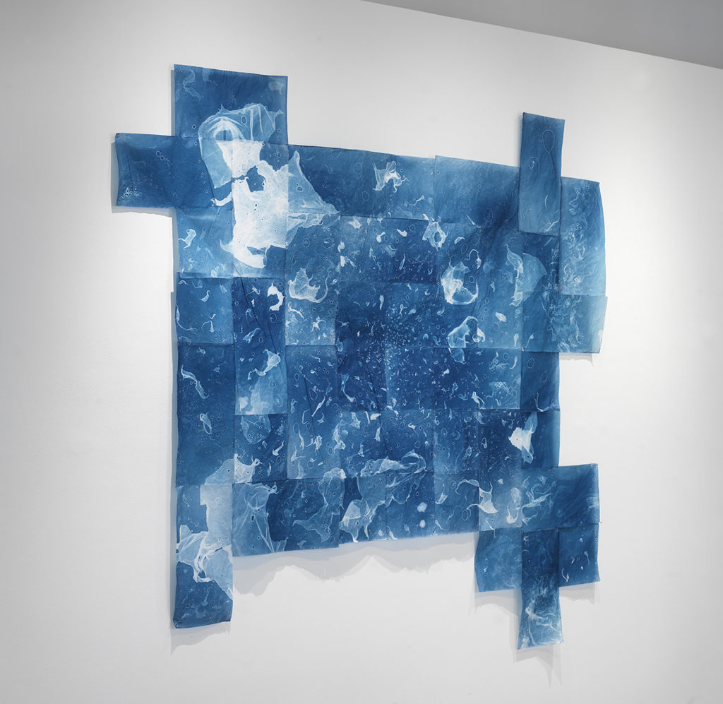 Deb Todd Wheeler, 'Floater Field 1', 2014, Cyanotype photogram on gampi paper, 72x72 in.