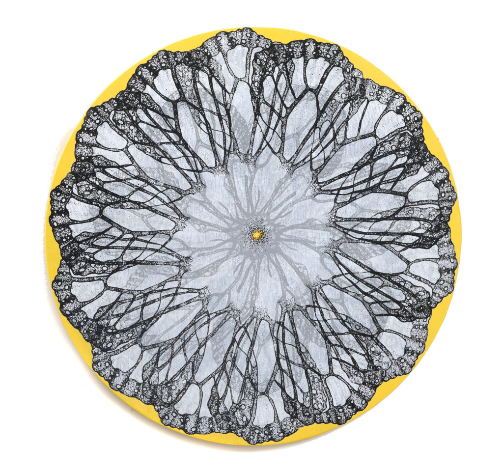 Amelia Hankin, Migration 9, mixed media on round wood panel, 16 x 16 inches