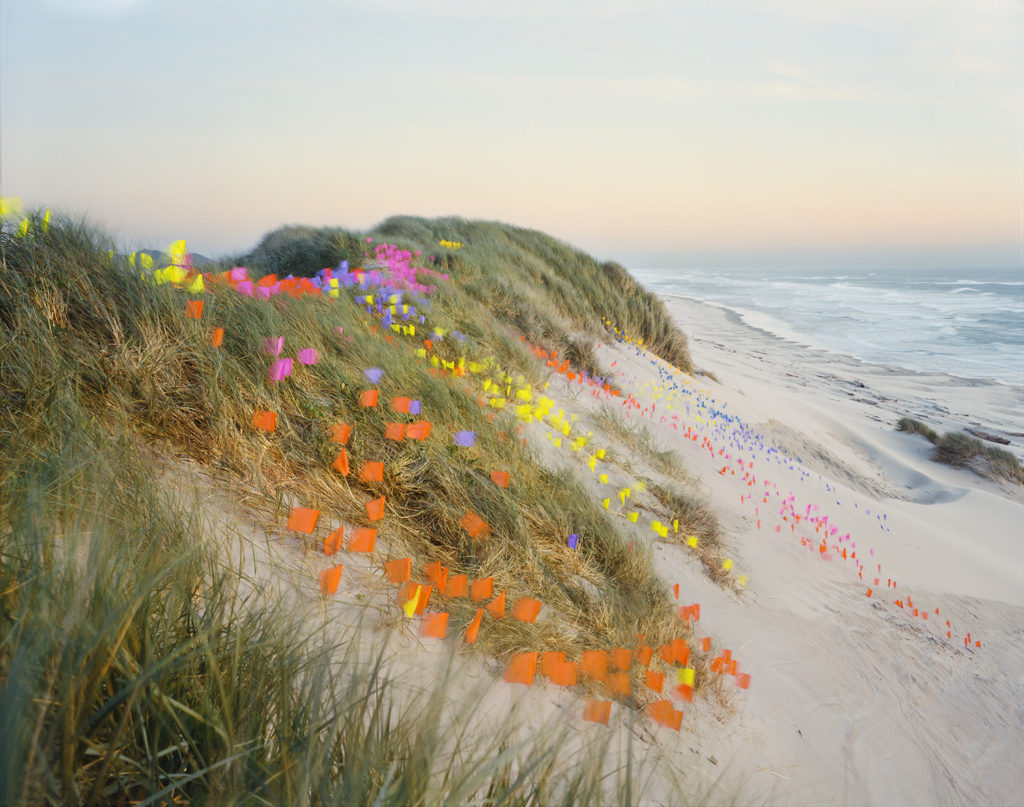 Thomas Jackson, Flags #1, 2019, Oregon Dunes National Recreation Area, Oregon