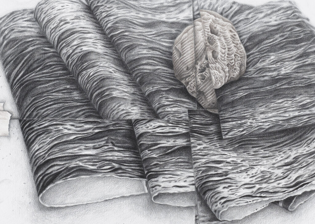 Evelyn Rydz, Surface Tension 2 detail, 2020, color pencil on Duralar, 22 x 30 inches