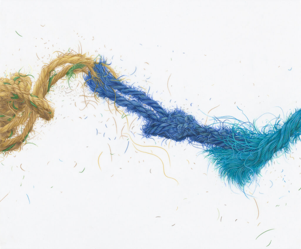 Evelyn Rydz, Unraveling 8, 2021, color pencil on Duralar, 14 x 17 inches