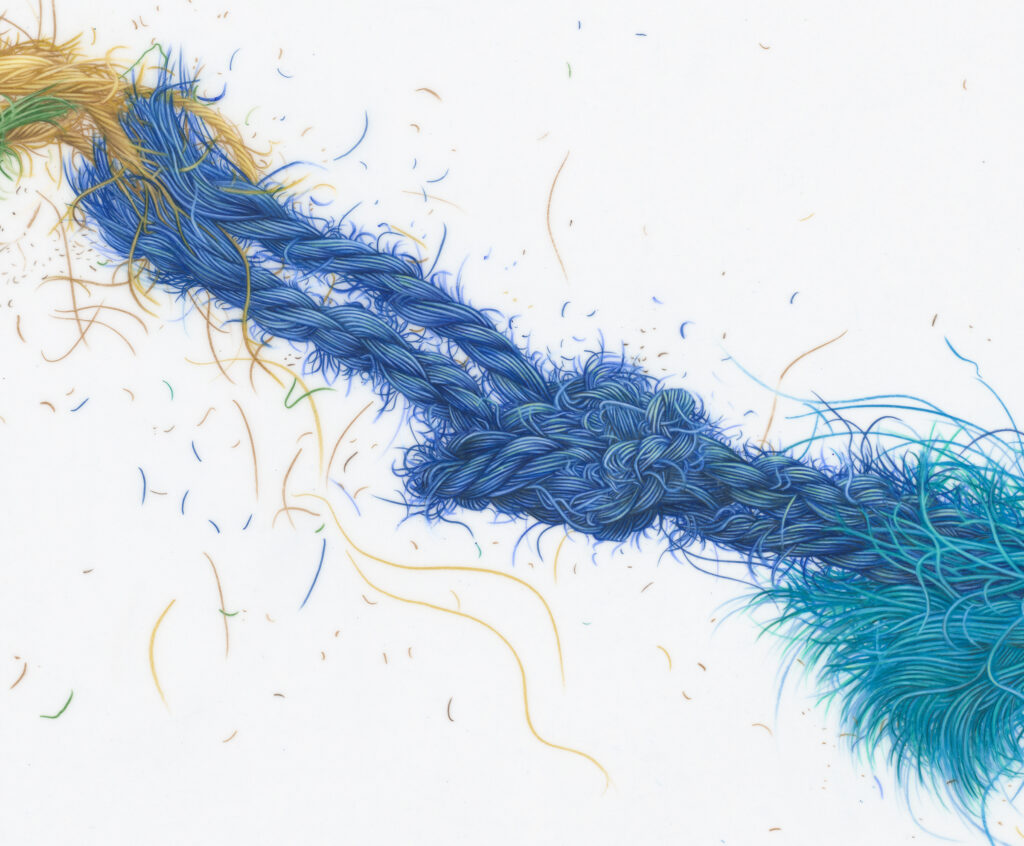 Evelyn Rydz, Unraveling 8 detail, 2021, color pencil on Duralar, 14 x 17 inches