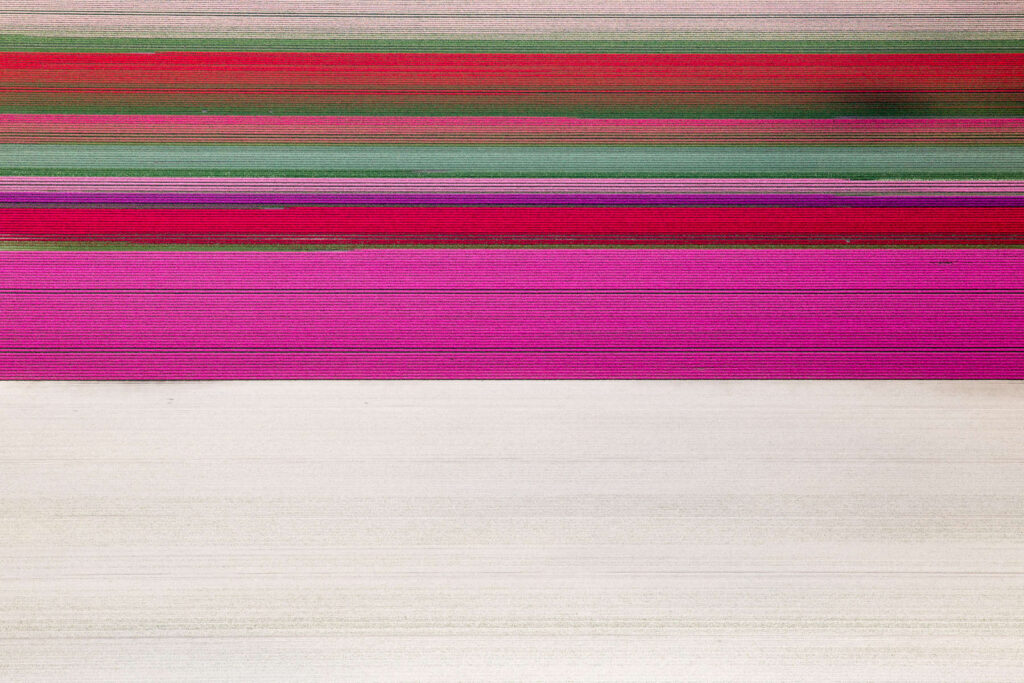 Alex Maclean, Tulip Bands, Rutten, Netherlands, various sizes