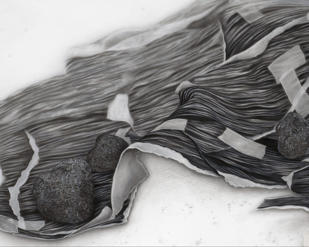 Evelyn Rydz, Folded Waters( Surface Tension 3)detail, oil pigment color pencil, 16 x 25 inches