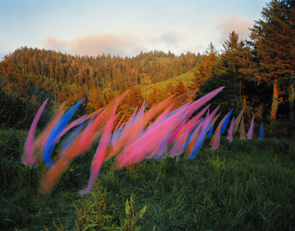 Thomas Jackson, Tulle #39, 2022, archival pigment print, 20 x 25, 30 x 38 and 48 x 60inches