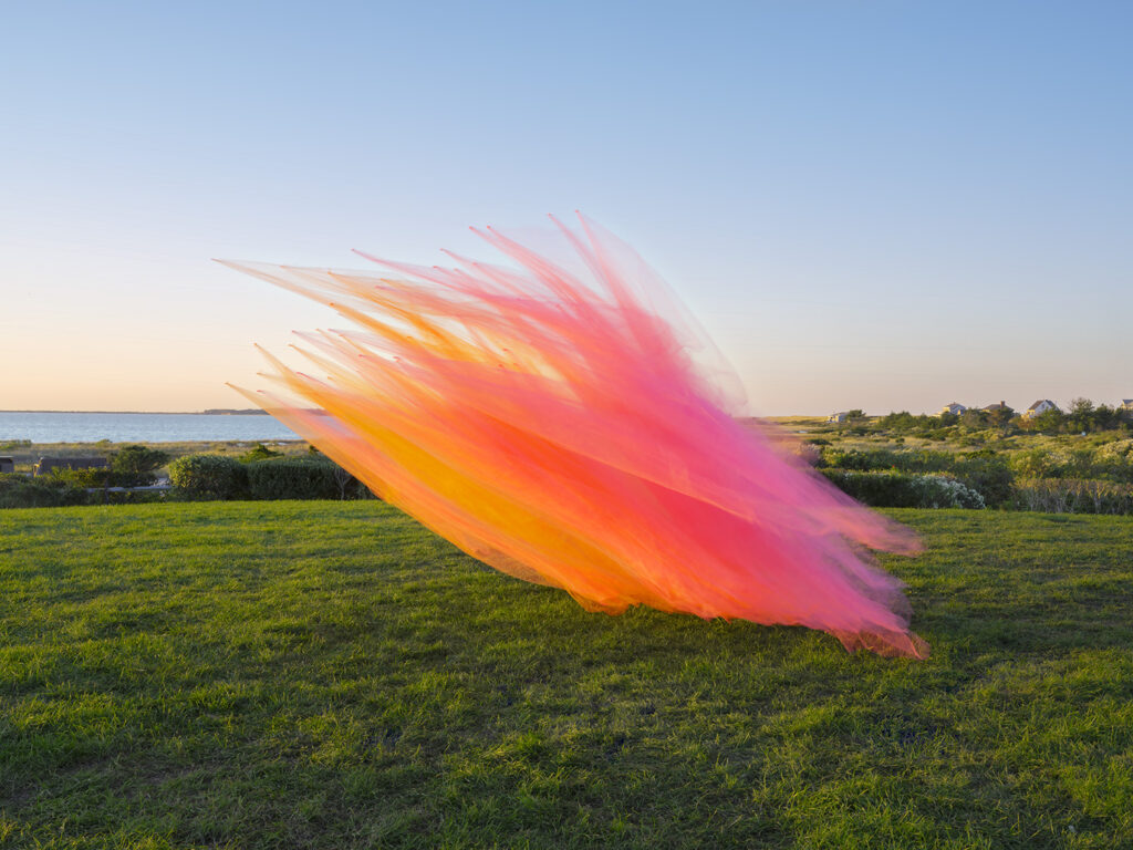 Thomas Jackson, Tulle #46, 2022, Nantucket MA, Archival pigment print, 20 x 27, 30 x 40, 48 x 64 inches