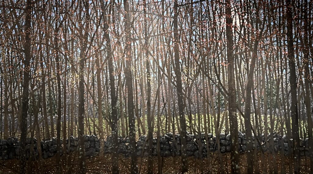 Stonewall Field in Spring, oil on canvas, 36 x 64 inches