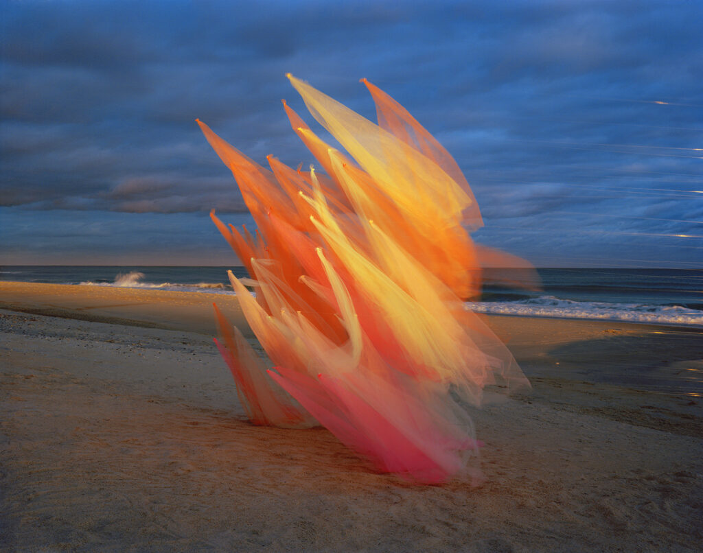 Thomas Jackson, Tulle 34v1, archival pigment print, 20 x 25, 30 x 38 and 48 x 60 inches