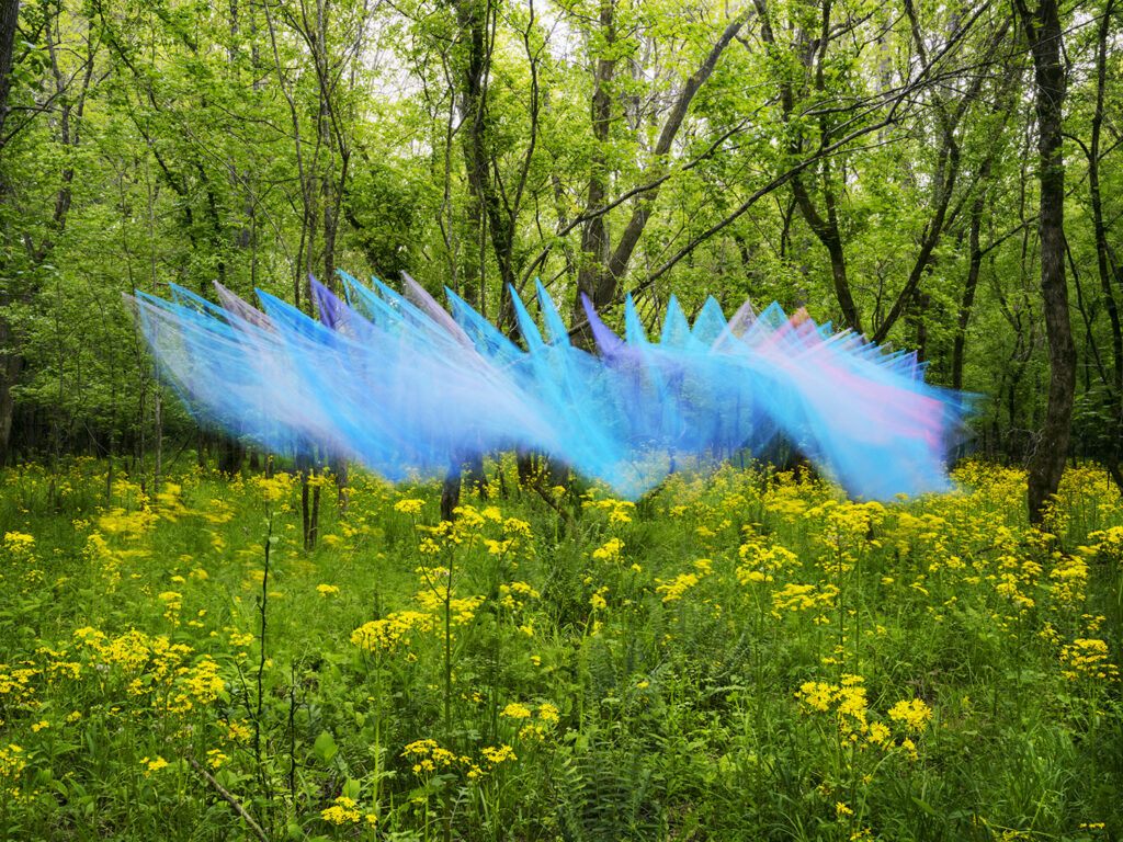 Thomas Jackson, Tulle #51v1, archival pigment print, 20 x 25, 30 x 40, and 48 x 64 inches