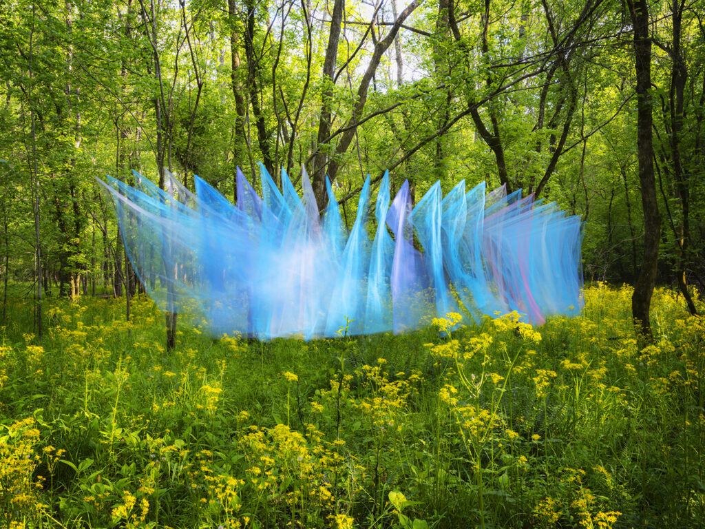 Thomas Jackson, Tulle #51v2, archival pigment print, 20 x 25, 30 x 40, and 48 x 64 inches