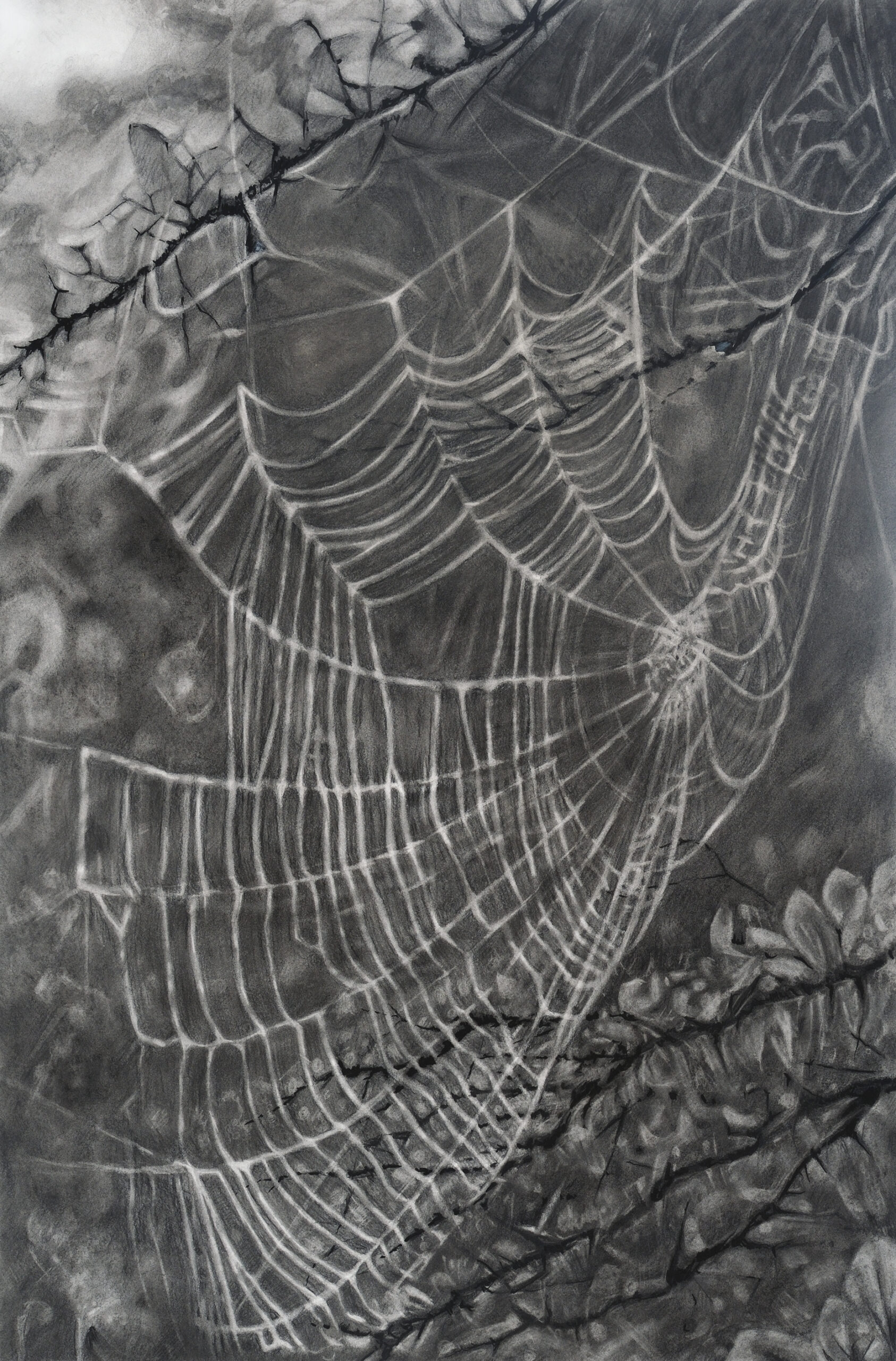 Amelia Hankin - Ellen Miller Gallery