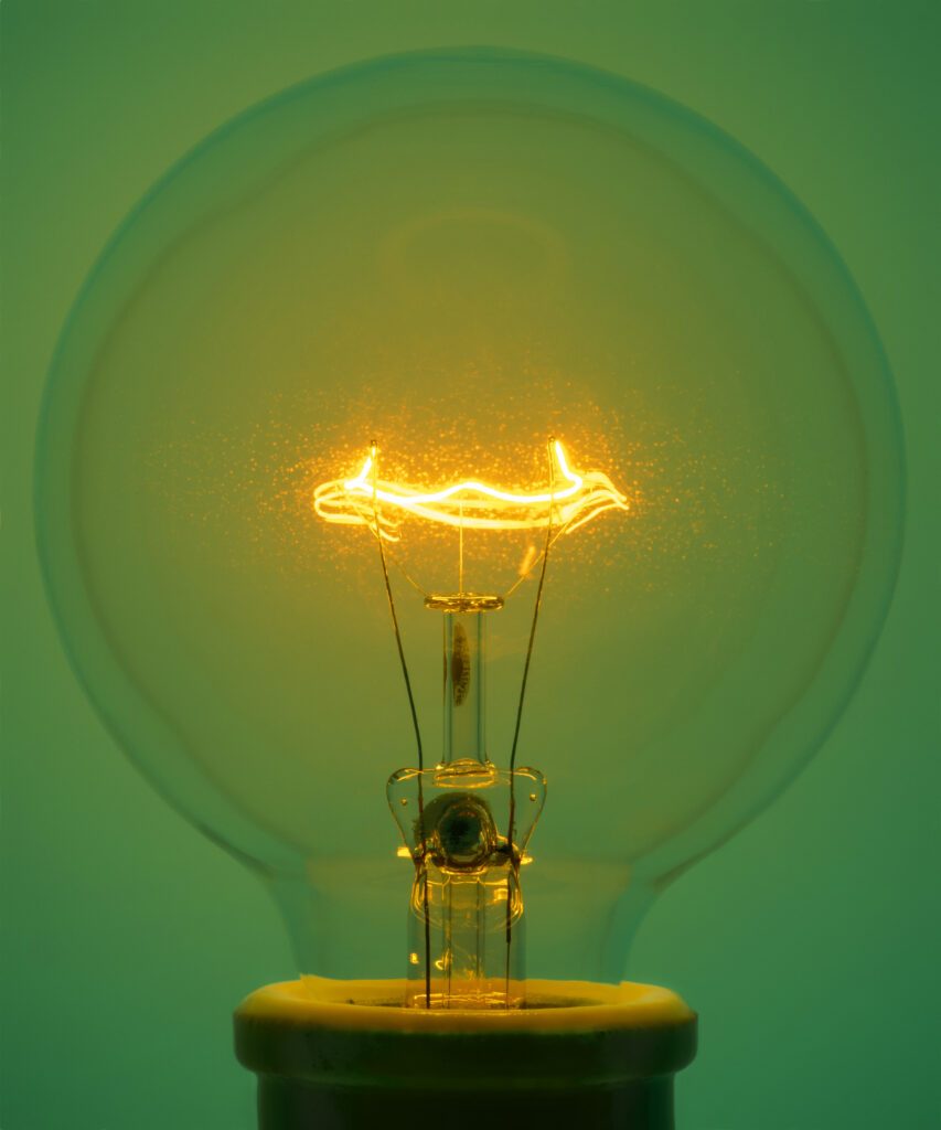 Amanda Means, Light Bulb 19, 2025, archival Pigment Print, 24 x 20 inches, 31 x 26 inches, 42 x 35 inches