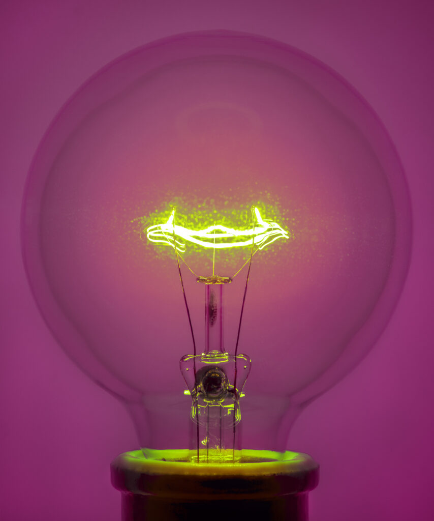 Amanda Means, Light Bulb 22, 2025, archival Pigment Print, 24 x 20 inches, 31 x 26 inches, 42 x 35 inches