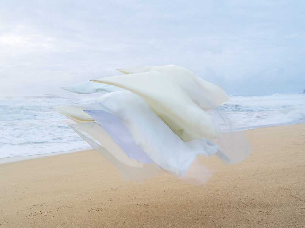 Thomas Jackson, Silk #9, archival pigment print, 20 x 27, 30 x 40. 48 x 64 inches